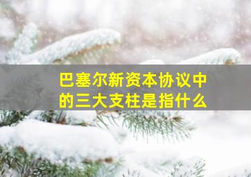 巴塞尔新资本协议中的三大支柱是指什么