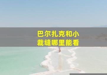 巴尔扎克和小裁缝哪里能看