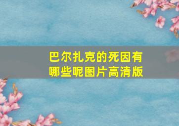 巴尔扎克的死因有哪些呢图片高清版