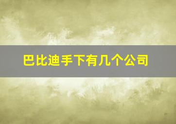 巴比迪手下有几个公司