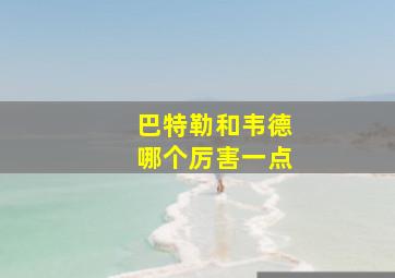 巴特勒和韦德哪个厉害一点