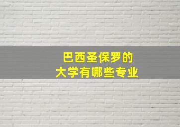 巴西圣保罗的大学有哪些专业