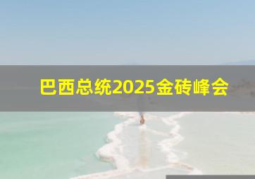 巴西总统2025金砖峰会