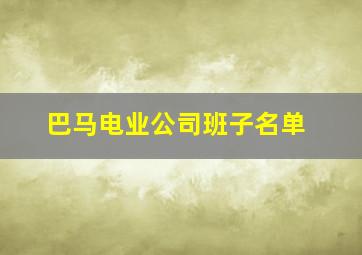 巴马电业公司班子名单