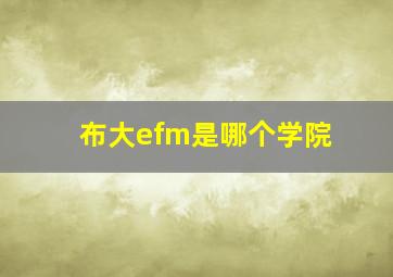 布大efm是哪个学院