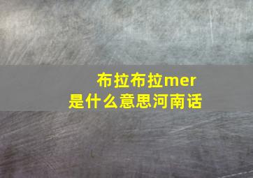 布拉布拉mer是什么意思河南话