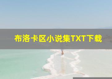 布洛卡区小说集TXT下载