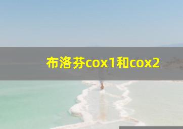 布洛芬cox1和cox2