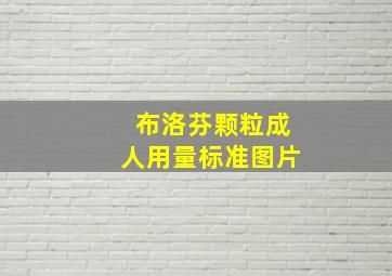 布洛芬颗粒成人用量标准图片