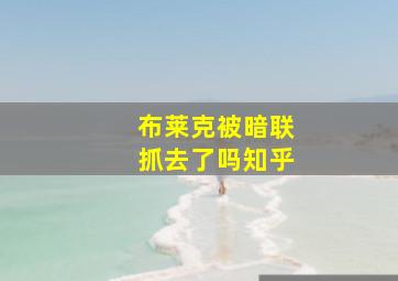 布莱克被暗联抓去了吗知乎