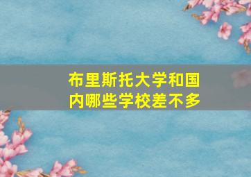 布里斯托大学和国内哪些学校差不多