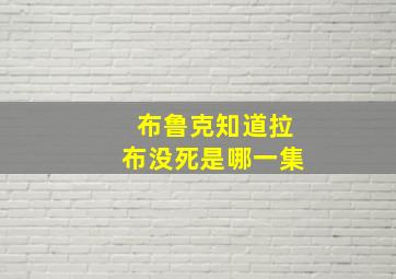 布鲁克知道拉布没死是哪一集