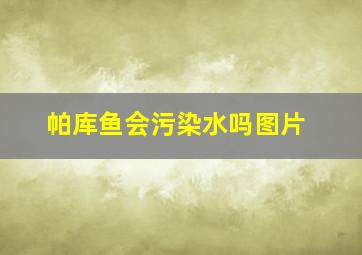 帕库鱼会污染水吗图片