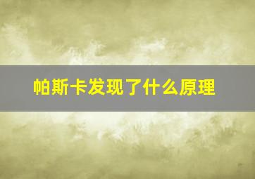 帕斯卡发现了什么原理