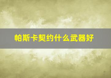 帕斯卡契约什么武器好