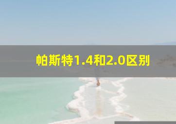 帕斯特1.4和2.0区别