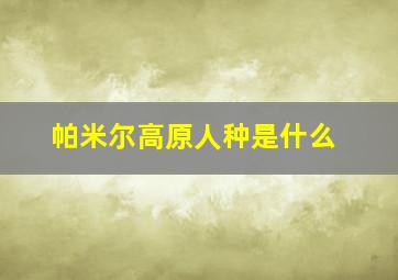 帕米尔高原人种是什么