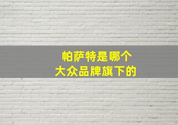 帕萨特是哪个大众品牌旗下的