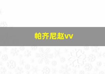 帕齐尼赵vv