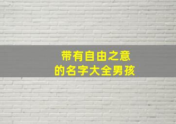 带有自由之意的名字大全男孩