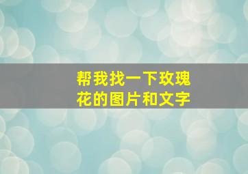 帮我找一下玫瑰花的图片和文字