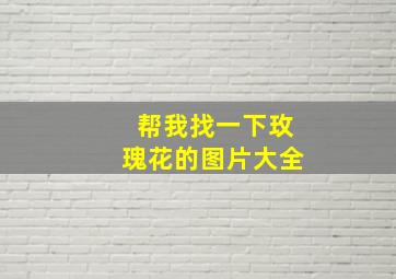 帮我找一下玫瑰花的图片大全