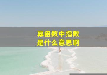 幂函数中指数是什么意思啊