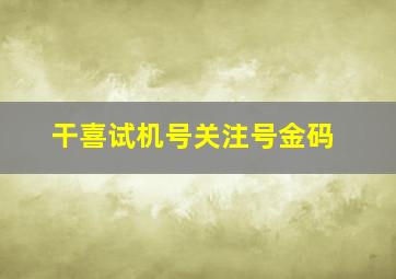 干喜试机号关注号金码