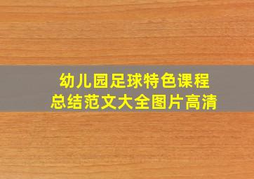 幼儿园足球特色课程总结范文大全图片高清