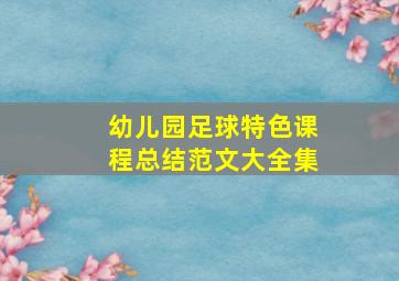 幼儿园足球特色课程总结范文大全集