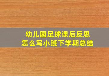 幼儿园足球课后反思怎么写小班下学期总结