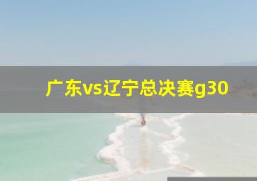 广东vs辽宁总决赛g30