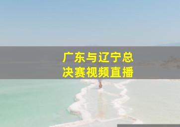 广东与辽宁总决赛视频直播