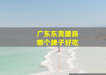 广东东莞腊肠哪个牌子好吃