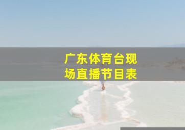 广东体育台现场直播节目表