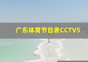 广东体育节目表CCTV5