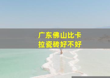 广东佛山比卡拉瓷砖好不好