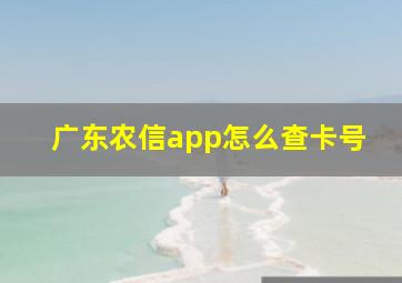 广东农信app怎么查卡号