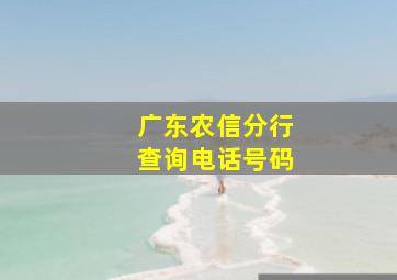 广东农信分行查询电话号码