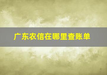 广东农信在哪里查账单