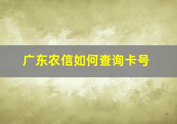 广东农信如何查询卡号