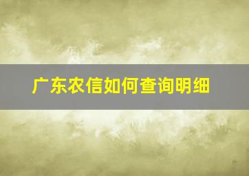 广东农信如何查询明细