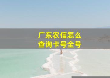 广东农信怎么查询卡号全号