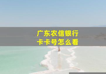 广东农信银行卡卡号怎么看