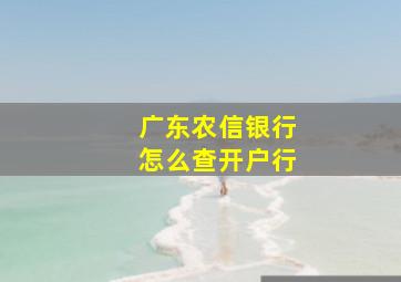 广东农信银行怎么查开户行