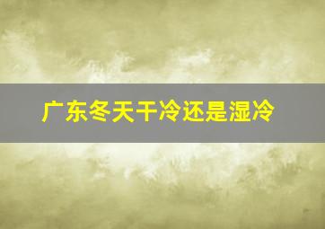 广东冬天干冷还是湿冷