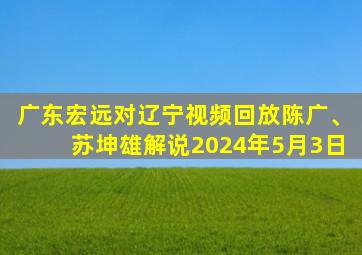 广东宏远对辽宁视频回放陈广、苏坤雄解说2024年5月3日