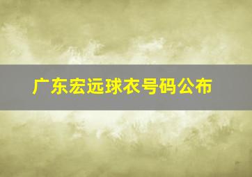 广东宏远球衣号码公布