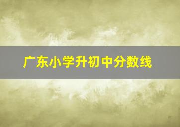 广东小学升初中分数线