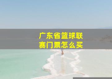 广东省篮球联赛门票怎么买